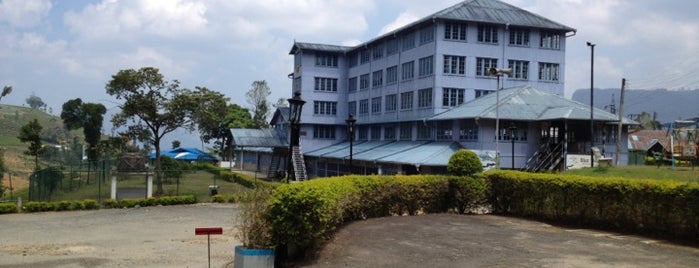 Blue Field Tea Factory is one of Sri Lanka.