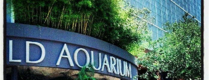 Dallas World Aquarium is one of Olly Checks In.