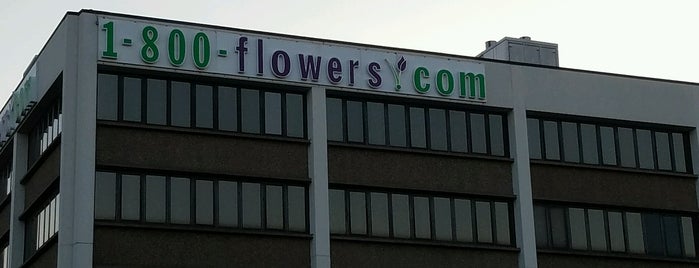 1-800-FLOWERS.COM Corp. Offices is one of Main list.