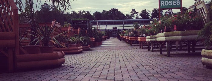 Longacres Garden Centre is one of สถานที่ที่ Mike ถูกใจ.