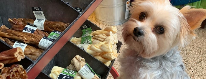 City Dogs Grocery is one of Dog-Friendly Indianapolis.