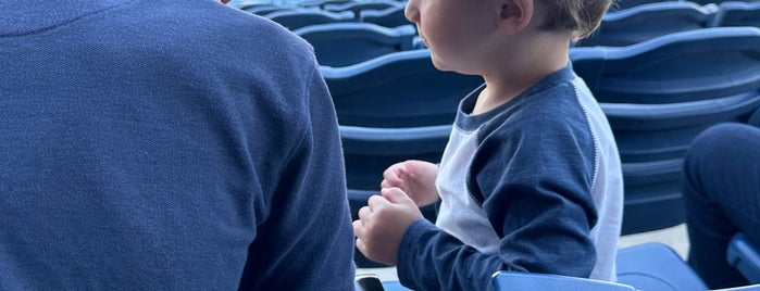 Atrium Health Ballpark is one of MiLB.