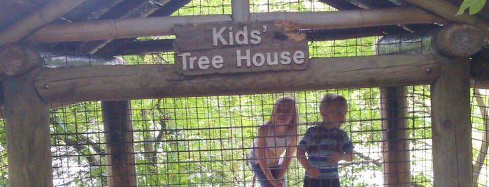 Tree Tops Trail is one of Fort Wayne Children's Zoo check-ins.