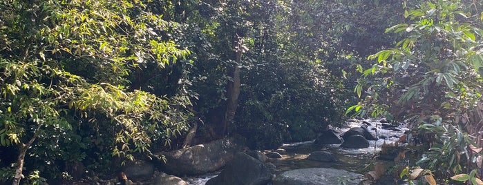 Air Terjun Bukit Jana is one of taiping sentral.
