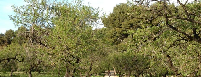 Parque Quinta de los Molinos is one of Parques Ocultos de Madrid.