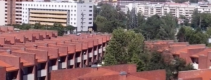 Nogueiró is one of braga.