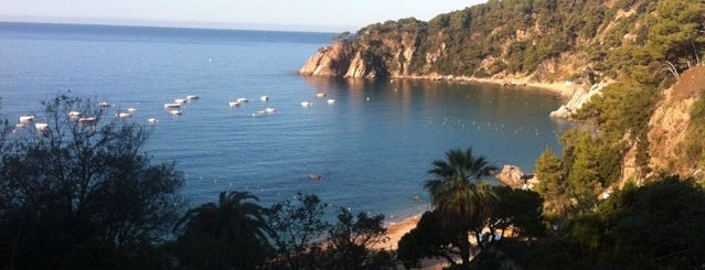 Platja de Llorell is one of Playa/Montaña.