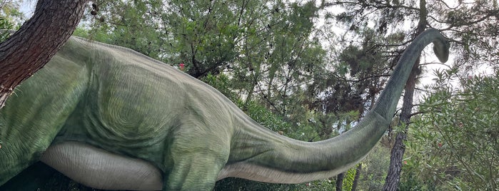 Dino Park is one of Antalya.