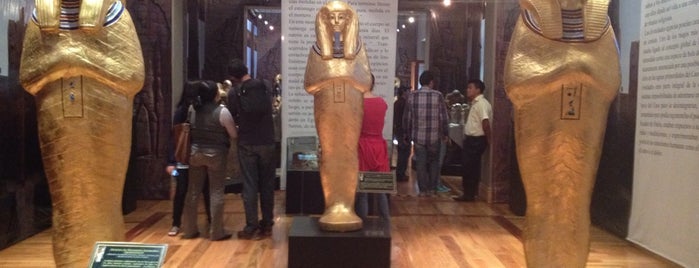 Exposicion Tutankamon is one of Join Illuminati And Enjoy Wealth.