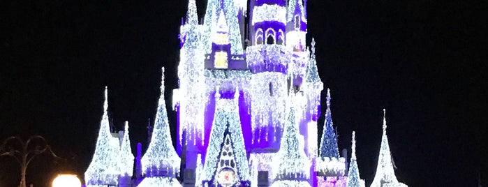 Cinderella Castle is one of Chrisさんのお気に入りスポット.