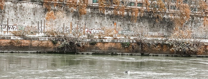 Battelli di Roma - Cruise on the Tiber River is one of Roma - Locali particolari.Ristoranti etnici..