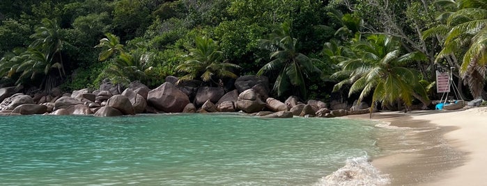 Petite Anse Kerlan is one of Praslin Island 🌴 Seychelles 🇸🇨.
