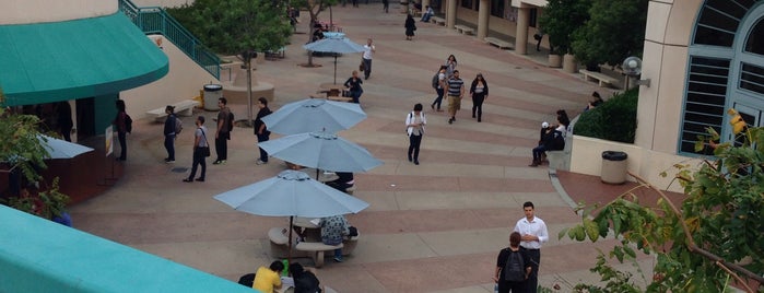 Glendale Community College is one of Regular Places.