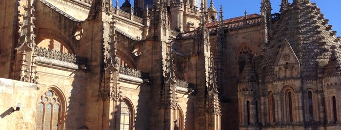 Ieronimus is one of Salamanca.