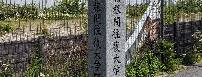 箱根駅伝 芦ノ湖発着点 is one of 神奈川/Kanagawa.