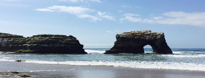 Natural Bridges State Beach is one of California.