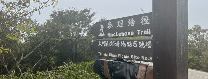 Tai Mo Shan is one of Asia 2018.