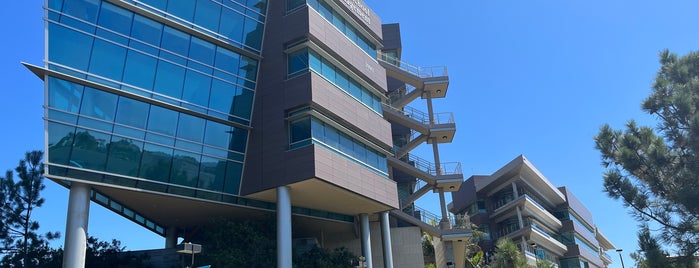 Rady School of Management is one of UCSD for better or worse.
