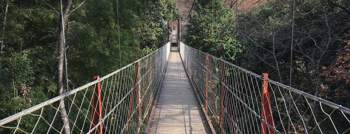 クレマチスの吊橋 is one of 熱海.