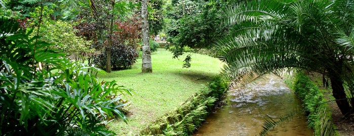 Jardim Botânico do Rio de Janeiro is one of Top 10 favorites places in Rio de Janeiro.