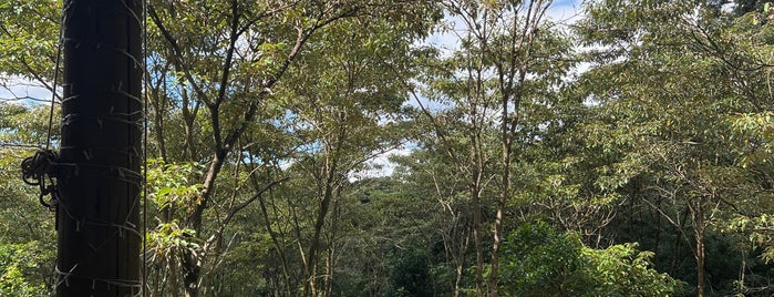 River Cafe at Karura Forest is one of Nairobi dining.