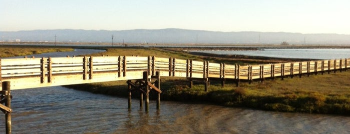 Don Edwards San Francisco Bay National Wildlife Refuge is one of Orte, die Nicole gefallen.
