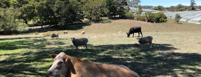 Hahndorf Hill Winery is one of Ultimate.