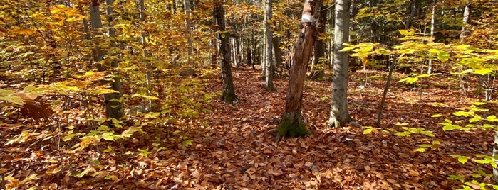 Kenneth L. Wilson Public Campground & Day Use Area is one of Lieux qui ont plu à Chris.