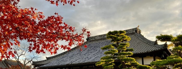 来迎寺 is one of 東海地方の国宝・重要文化財建造物.