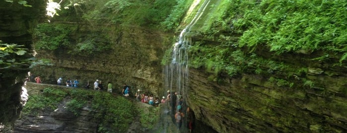 Watkins Glen State Park is one of Finger Lakes Wine Tasting and Hiking.