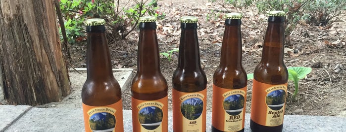 Bear Creek Brews is one of NC Hops and Roots Fest.