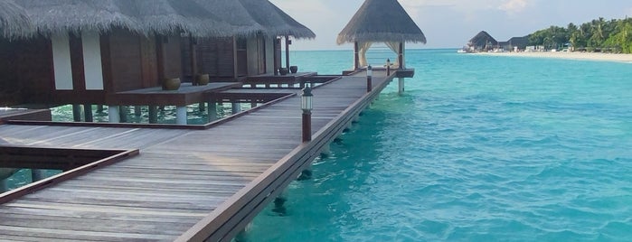 Anantara Dhigu Resort & Spa Maldives is one of Maldives.