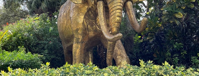 African Elephants is one of Miami USA.