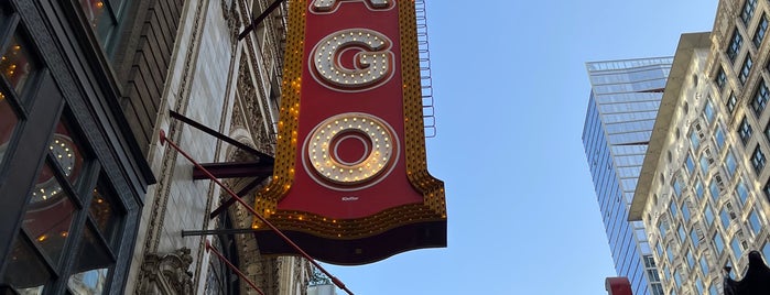 The Chicago Theatre is one of chicago.