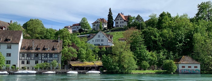 Schiff Schaffhausen URh is one of Reise 2.