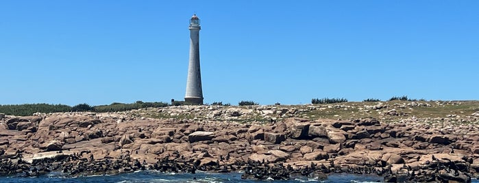 Isla de Lobos is one of Uruguai.