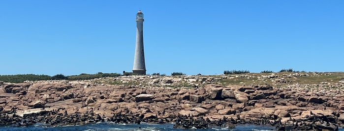 Isla de Lobos is one of LatAm.