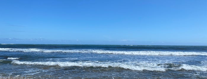 Kekaha Beach is one of Kauai.