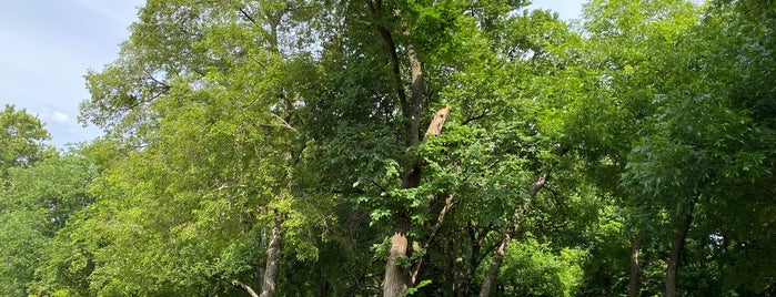 Central Park is one of Trails.