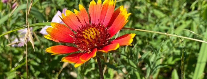 Spring Creek Nature Trail is one of tips list.