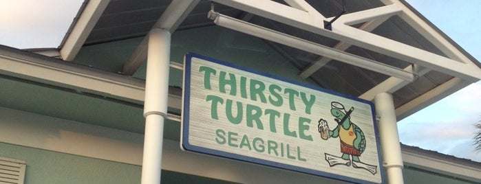 Thirsty Turtle is one of สถานที่ที่ Deena ถูกใจ.