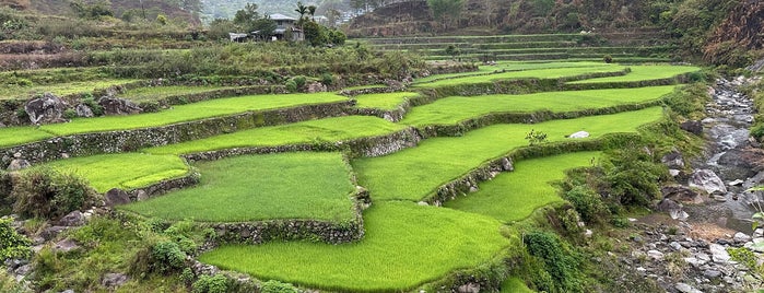 Sagada is one of Sagada Mt. Province.