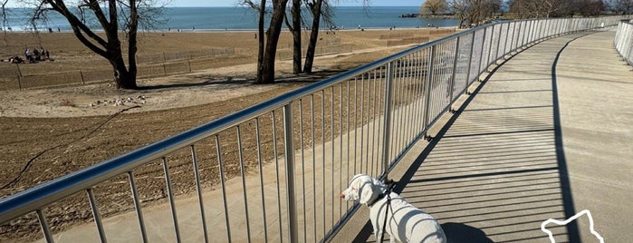 Edgewater Park is one of Lugares favoritos de N.