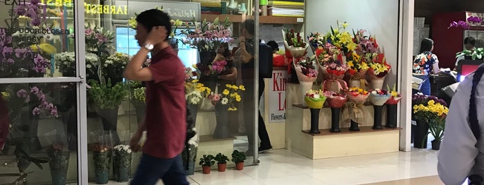 King Louis Flowers is one of Megamall.
