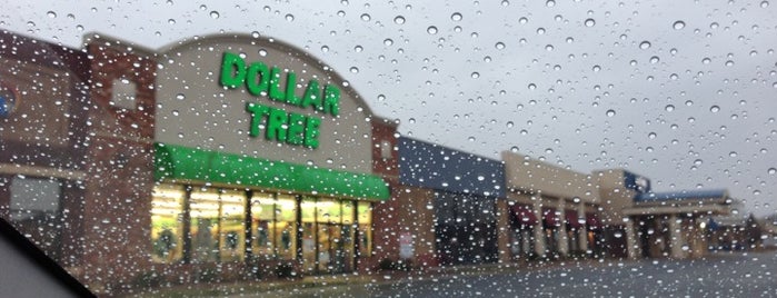 Dollar Tree is one of Chelseaさんのお気に入りスポット.