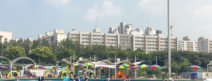 Jamwon Outdoor Swimming Pool is one of South Korea: Garosugil.
