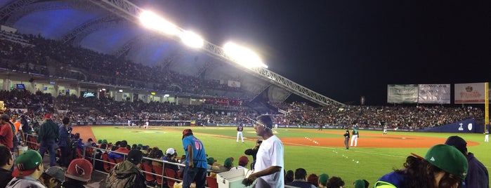 Estadio Panamericano is one of Espectáculos @ GDL.