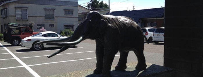 野尻湖ナウマンゾウ博物館 is one of Jpn_Museums.