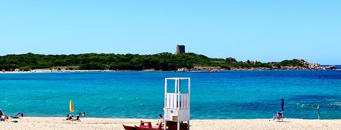 Spiaggia La Tortuga is one of Nord-Sardinien / Italien.