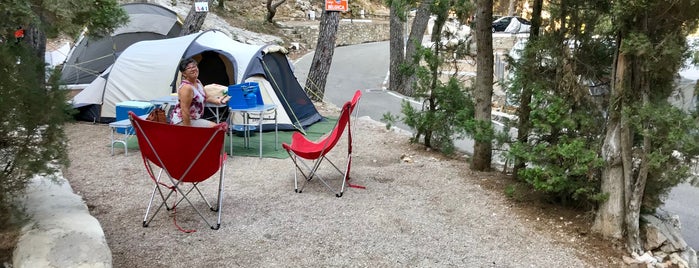 Los mejores sitios para hacer camping.